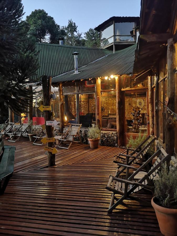 מונטה ורדה Alive Eco Hut Pousada מראה חיצוני תמונה